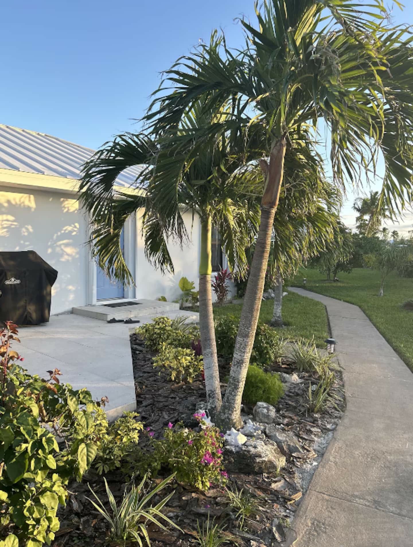 Villa entrance with blue door and tropical garden